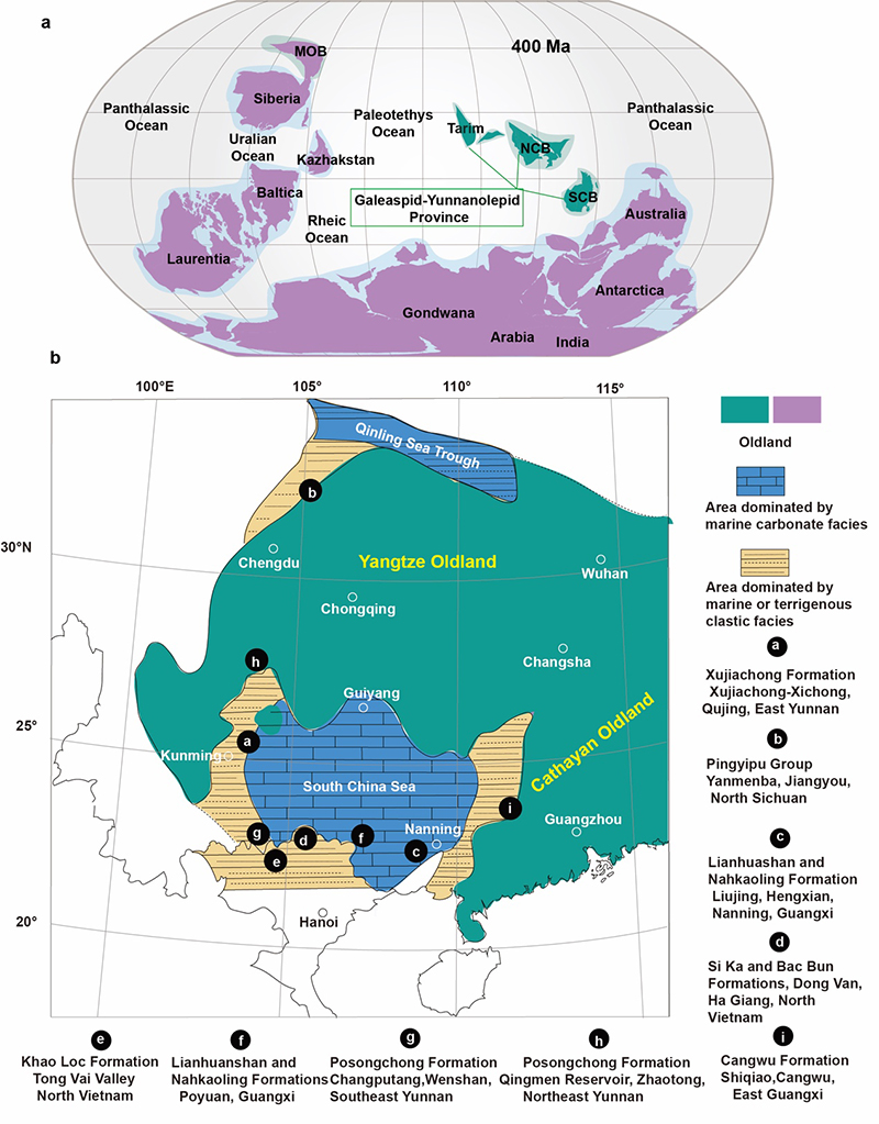 �������������������ֵĹŵ������壨��־���ṩ��