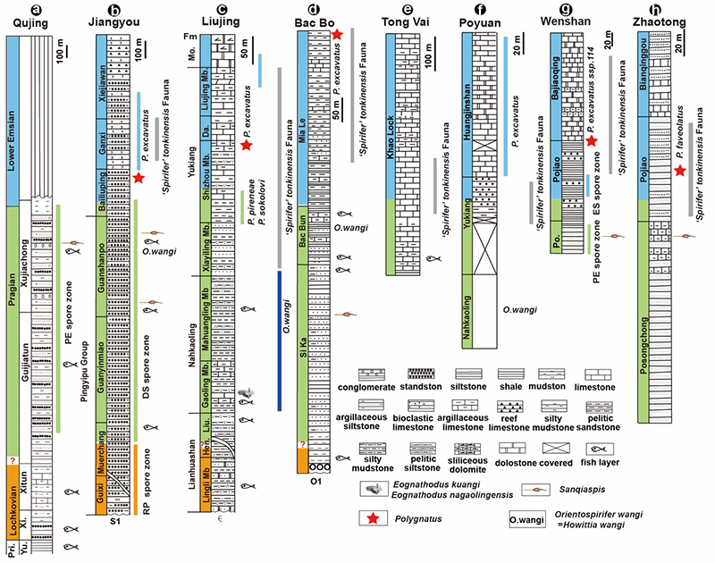 �������������������ֵĵز����壨��־���ṩ��