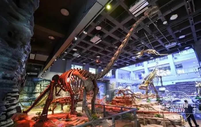 �Ӽ���������ݣ��ڿ�����ʯ���ػذ��Ѽ�