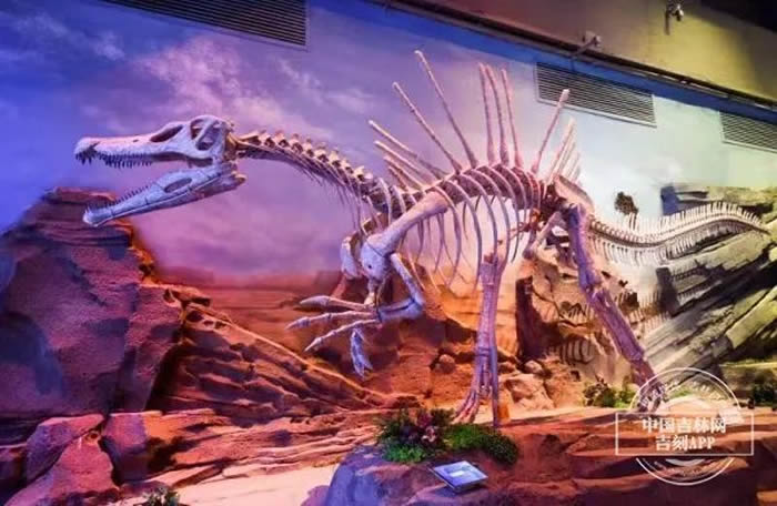 �Ӽ���������ݣ��ڿ�����ʯ���ػذ��Ѽ�