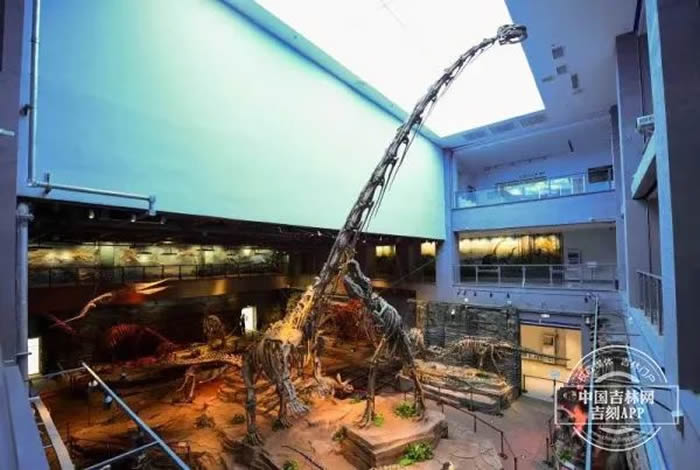 �Ӽ���������ݣ��ڿ�����ʯ���ػذ��Ѽ�