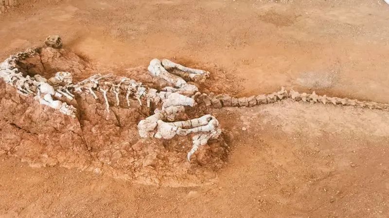 Զ�ź��������߽�����֮�����ϳ���»����̽��ʷǰ����