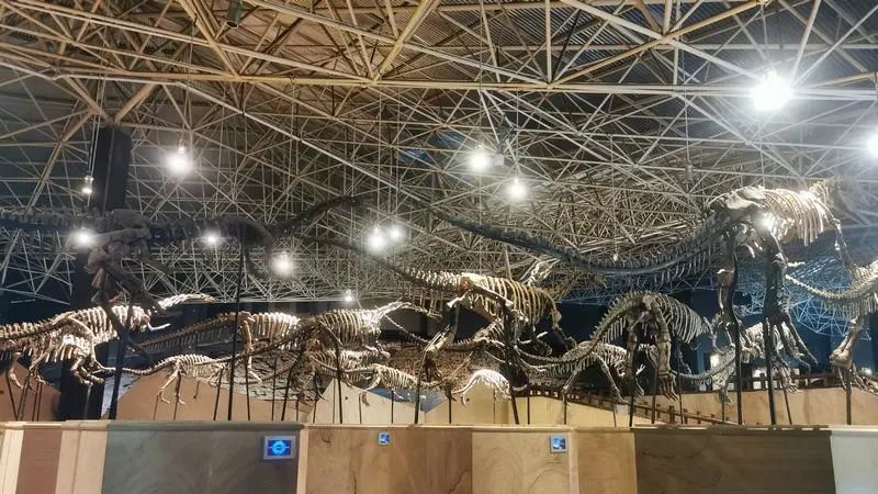 Զ�ź��������߽�����֮�����ϳ���»����̽��ʷǰ����