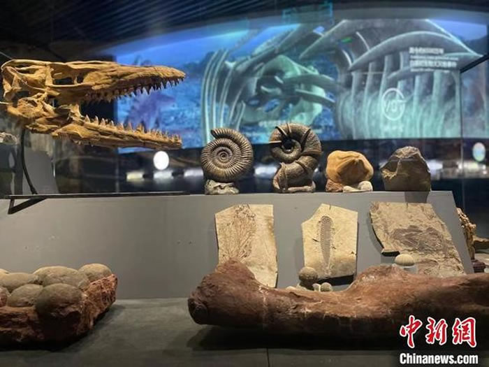 �������ϳν�5����ǰ�����ﻯʯ�ġ�Զ�ź�����