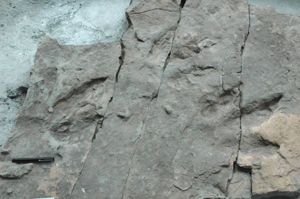 ������ӡ��ʯ