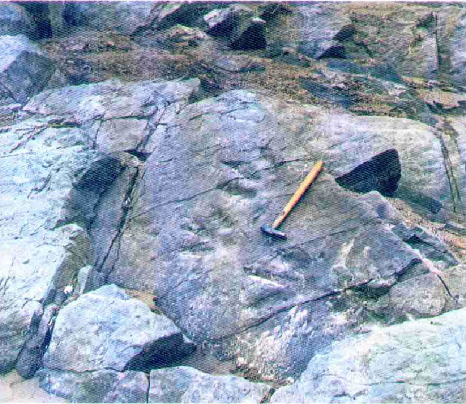 ������ӡ��ʯ�ɼ��ֳ�