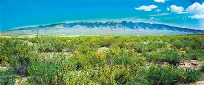 ������ɽ����������ʷ����һ����ǰ