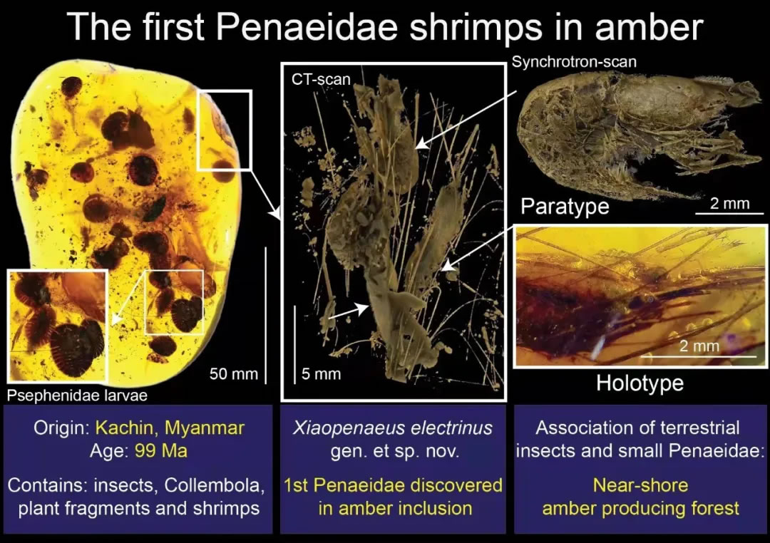 �����հ��������״η���Ϻ�໯ʯ ��������Ϻ��������9900����ǰ