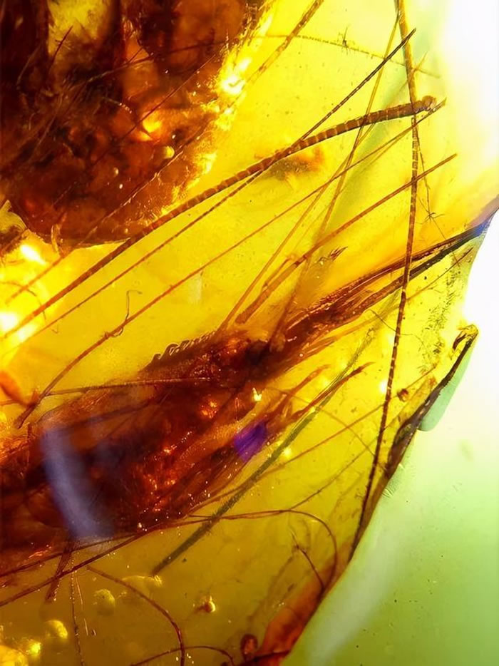 �����հ��������״η���Ϻ�໯ʯ ��������Ϻ��������9900����ǰ