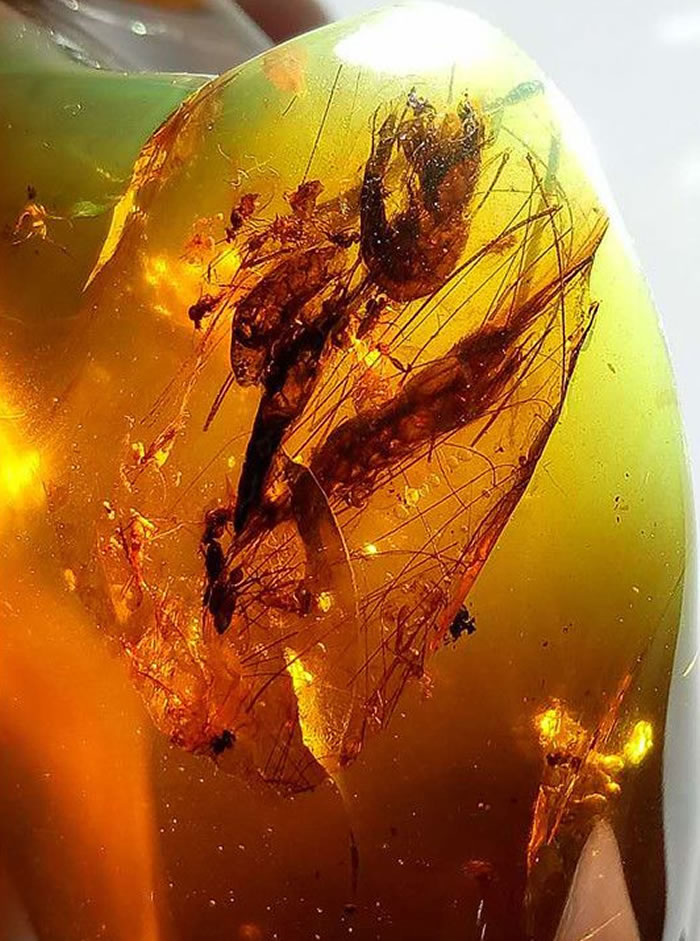 �����հ��������״η���Ϻ�໯ʯ ��������Ϻ��������9900����ǰ