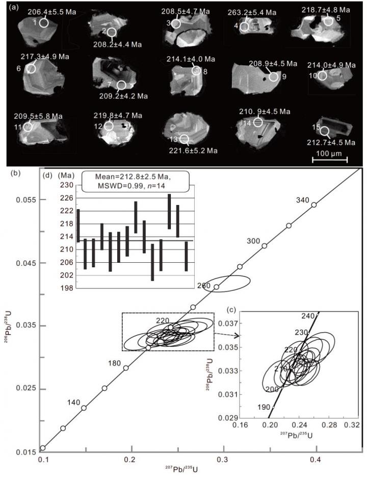 ͬλزƷʯͼ񼰲. (a) ʯͼ; (b), (c) ͬλزƷгͼ; (d) ͬλزƷȨƽ