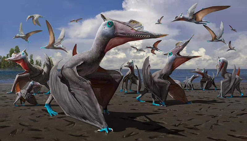 ��̬��ԭͼ���Դ��棩