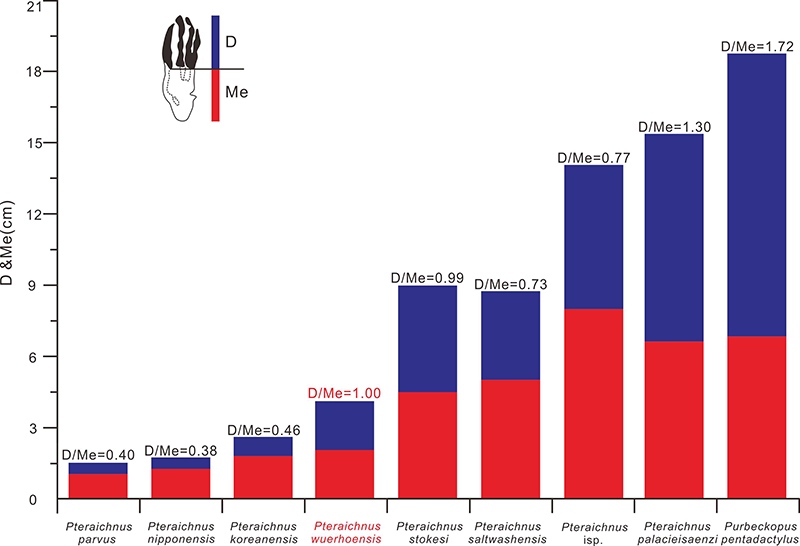 ���������㼣�Ƴ�Ա���ڶ��������㼣����D��Me��״ͼ���о��Ŷӹ�ͼ��