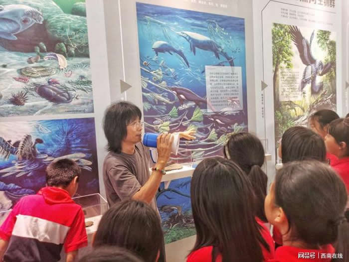 �ɶ�ֲ��԰�����ﻯʯ���չ���չϵ�л��Ļ