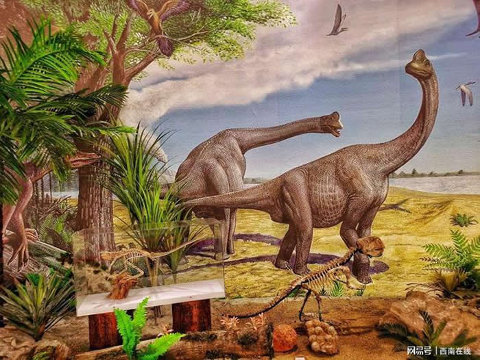 �ɶ�ֲ��԰�����ﻯʯ���չ���չϵ�л��Ļ