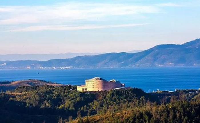 ���ϳν���ʯ����Ȼ����ݡ������� ��