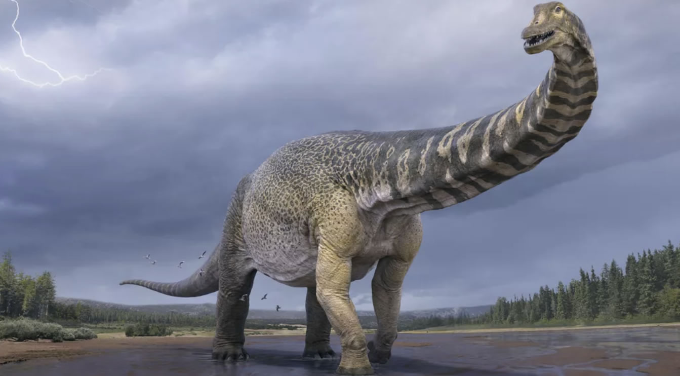 ������Australotitan cooperensisΪ�ڰĴ����Ƿ��ֵ�������