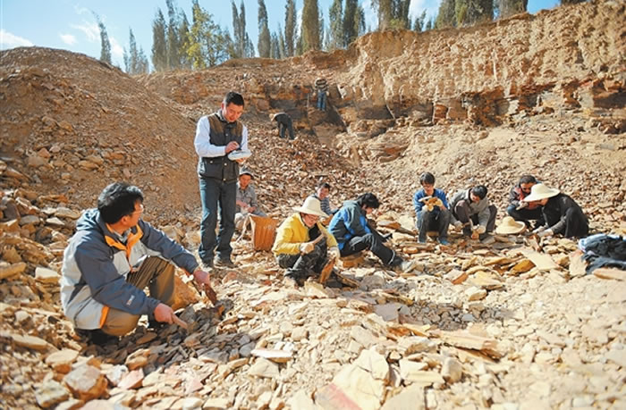 ���ϴ�ѧ������ѧѧ�ƽ���Ư�����ɼ�����