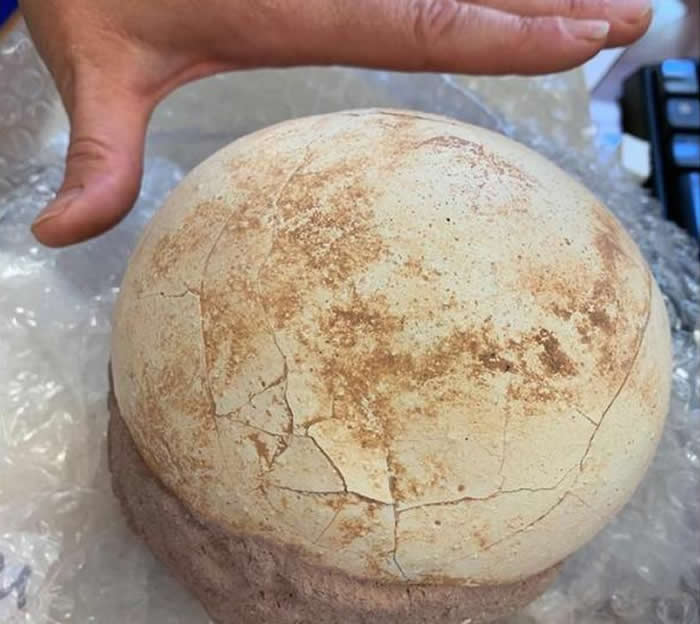 ����������ڰ����з��ֿ��������й��ġ���������