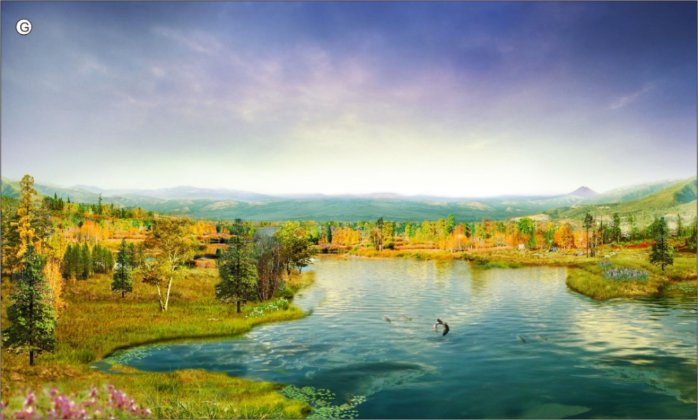 2400����ǰ����ظ�ԭ���µ���̬���ۣ�ͼƬ��Դ��л�ƣ�