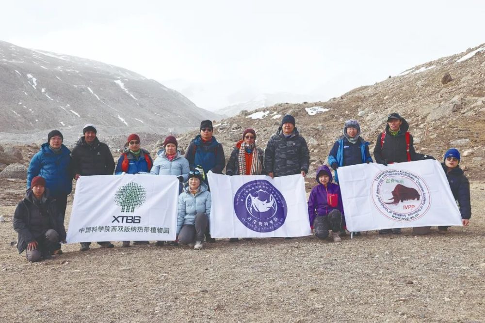 �ƿ��Ӻ���