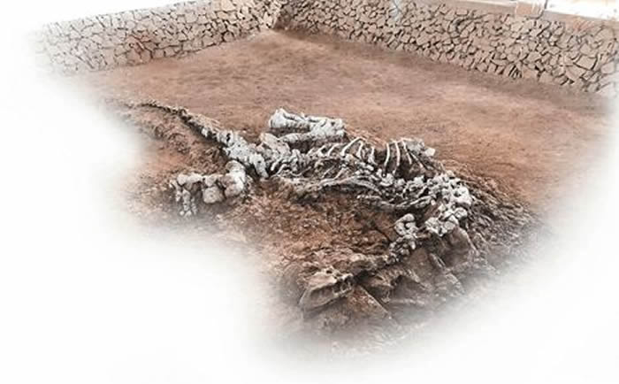 ���Ϲ����ﻯʯ�ƽ������ݻ�֮�յġ�Կ�ס�