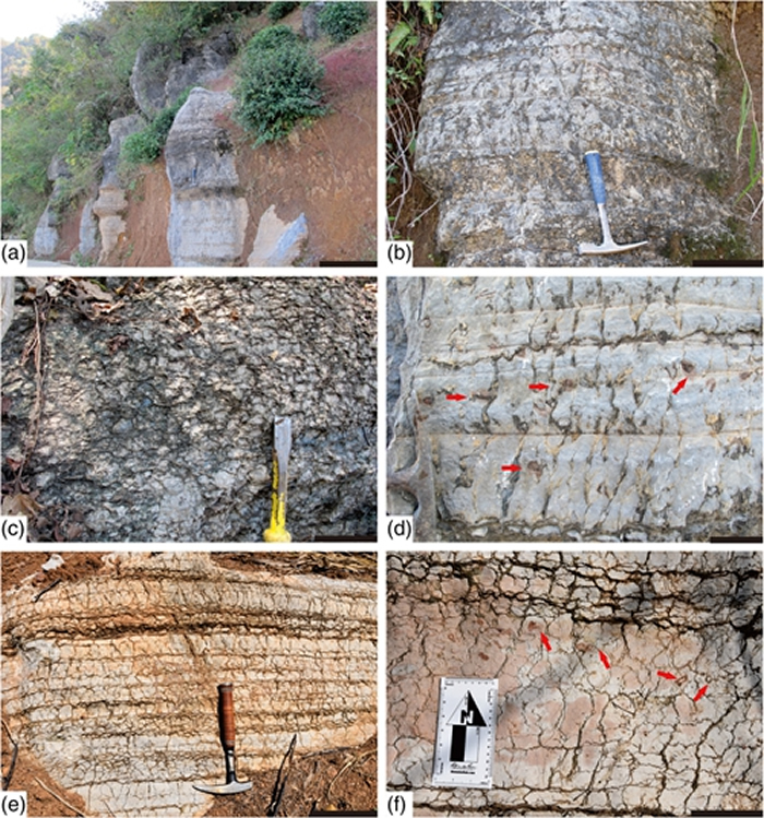 �������漰��������