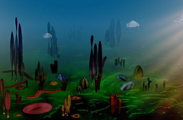 ���Ͽ�������Ⱥ��ʯ��ԭͼ���й���ѧԺ�Ͼ����ʹ������о������ܻ�ͼ��