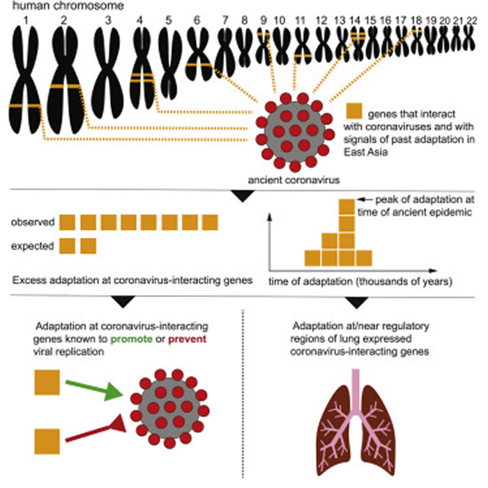 2����ǰ���ǵ�����������һ���ش�Ĺ�״��������
