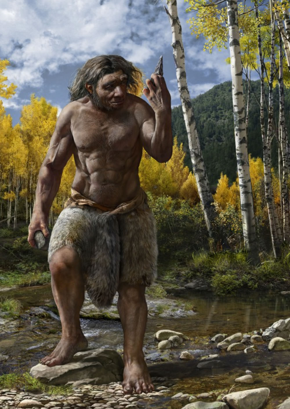 哈尔滨发现的中更新世古人类化石正式命名为“龙人”Homo longi 可能是智人最近的亲戚