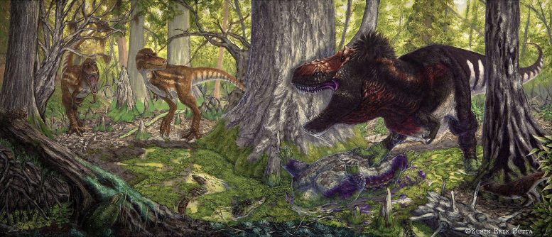 ���������������ռ������λʱ ����������ӹ�����ʳ�⶯����̬λ