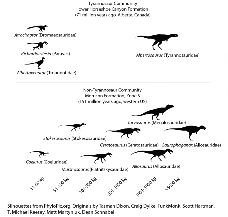 ���������������ռ������λʱ ����������ӹ�����ʳ�⶯����̬λ