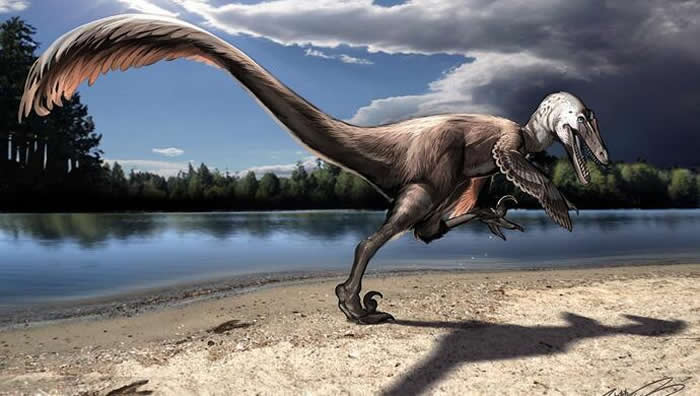 ʡˮѼͼйزз޽㼣ʯ