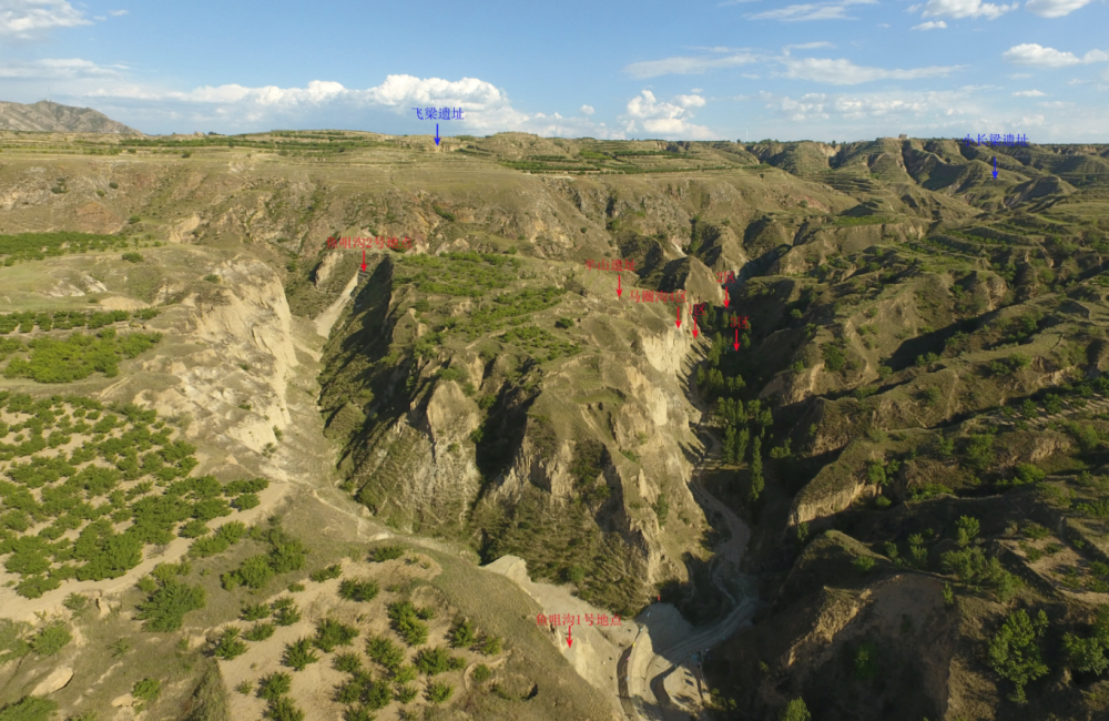 ������������硱�������ַ����100���� �ӱ�ʡ������о����Ľ���