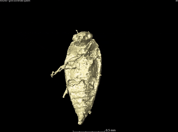 �������ȡ�����������㻯ʯ�з�����֪����ϼ׳� ���2.3����