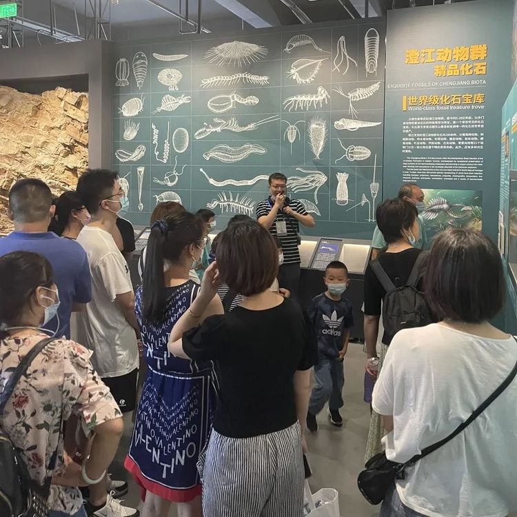 “荔枝读书会·人文地图”带领会员走进南京古生物博物馆