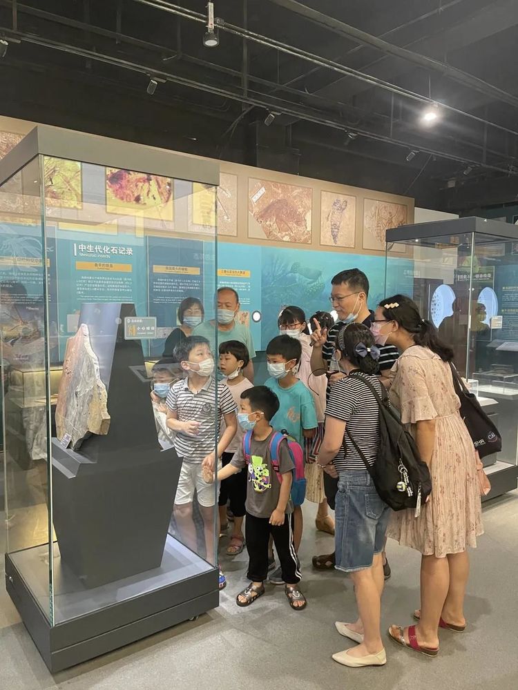 ����֦����ᡤ���ĵ�ͼ�������Ա�߽��Ͼ������ﲩ���