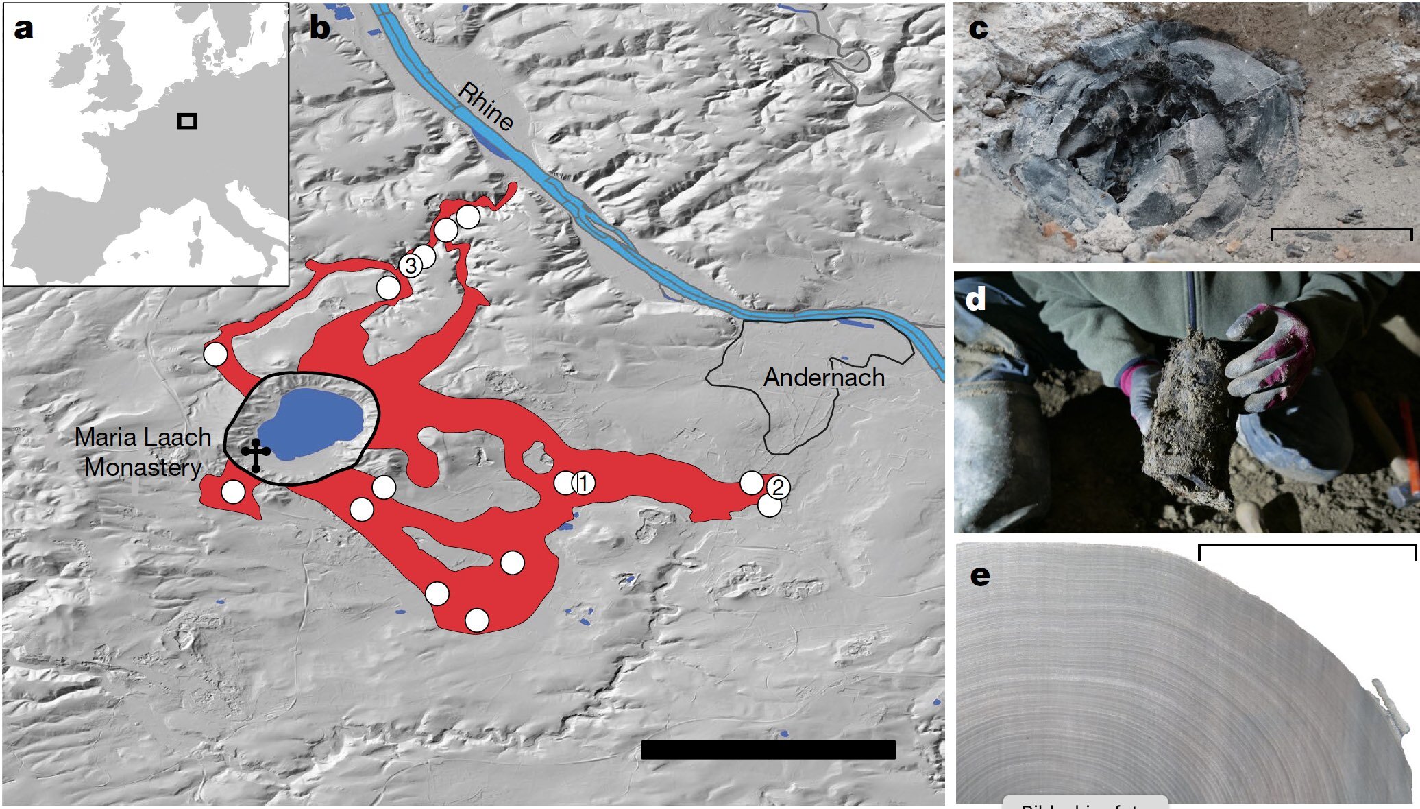 ������ʱ�ڵ¹������պ���ɽ�緢������Ůľ�¼�ͬ��