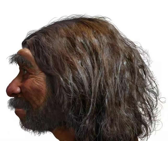 龙人侧面(图片由季强教授提供)