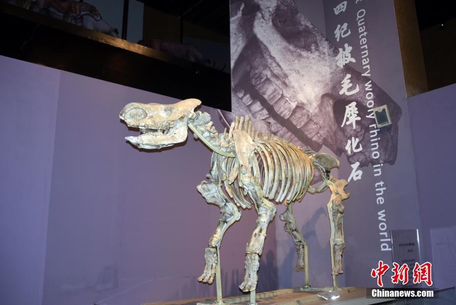 ͼΪ�ò����չ����������֮���еġ�����������ĵ��ļ���ëϬ��ʯ����