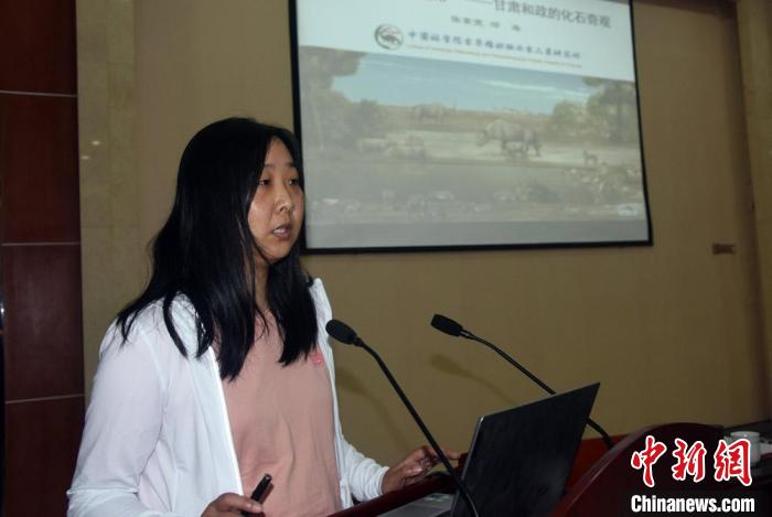 ������ѧ�ߣ�������������Ĵ��ﻯʯȺ����������֮��