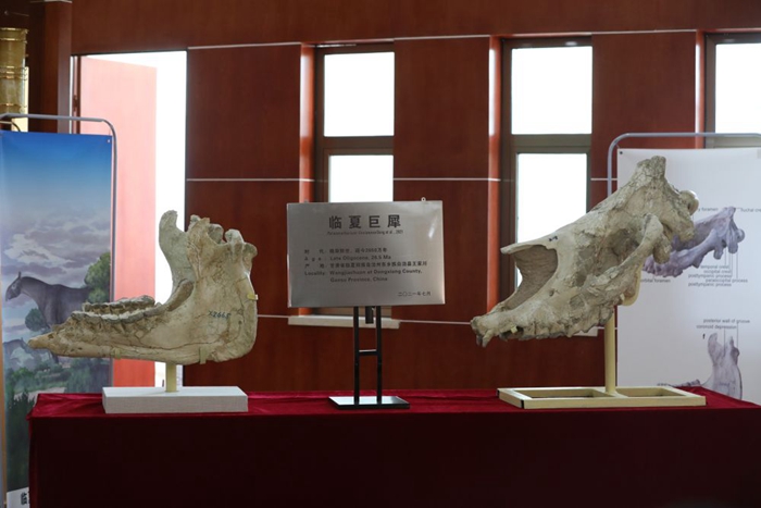 �����ľ�Ϭ�������㡰ʷǰ���ޡ�Ϊ��������ظ�ԭ���ഩԽ