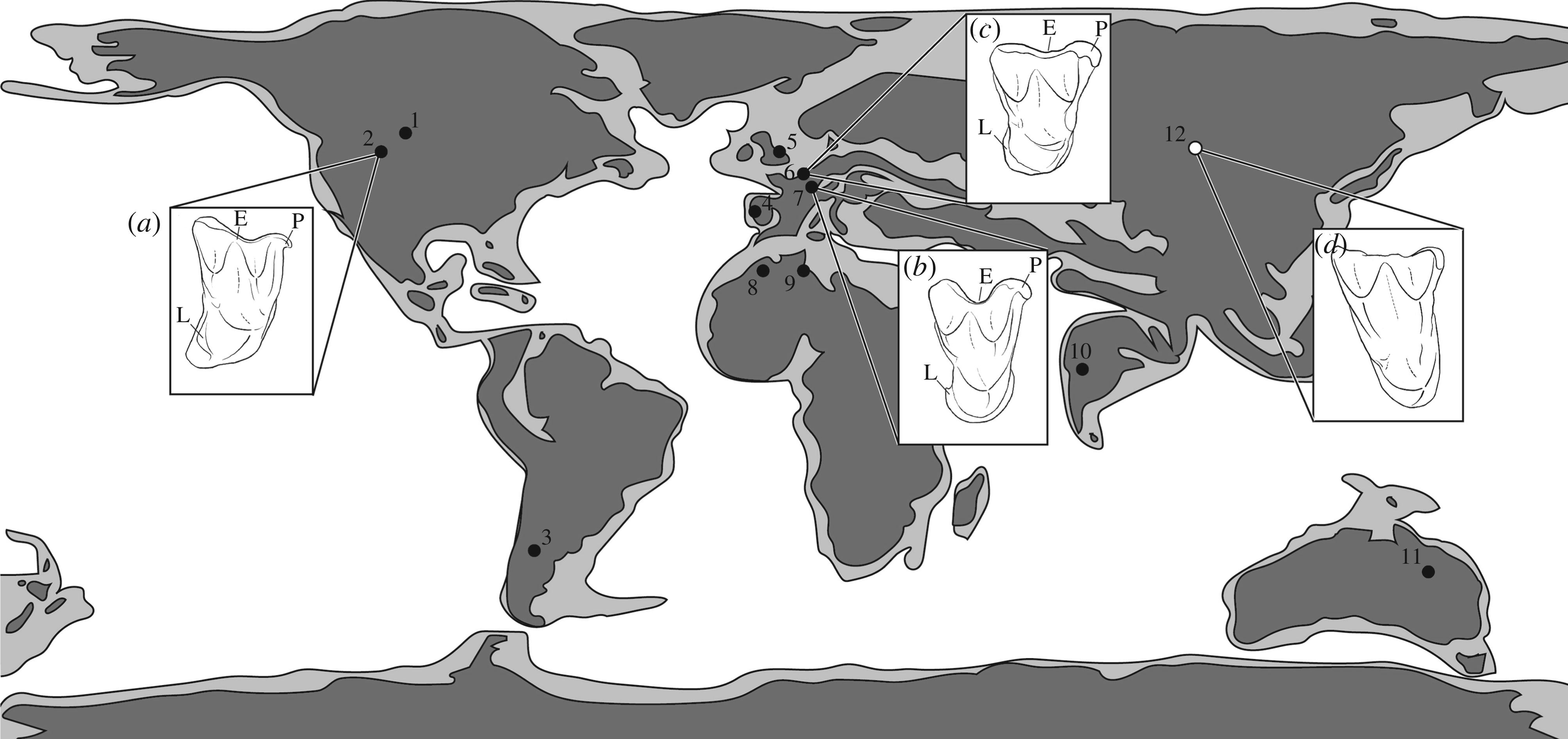 �й��½���׼������ط�����������ϵ�����ʯ