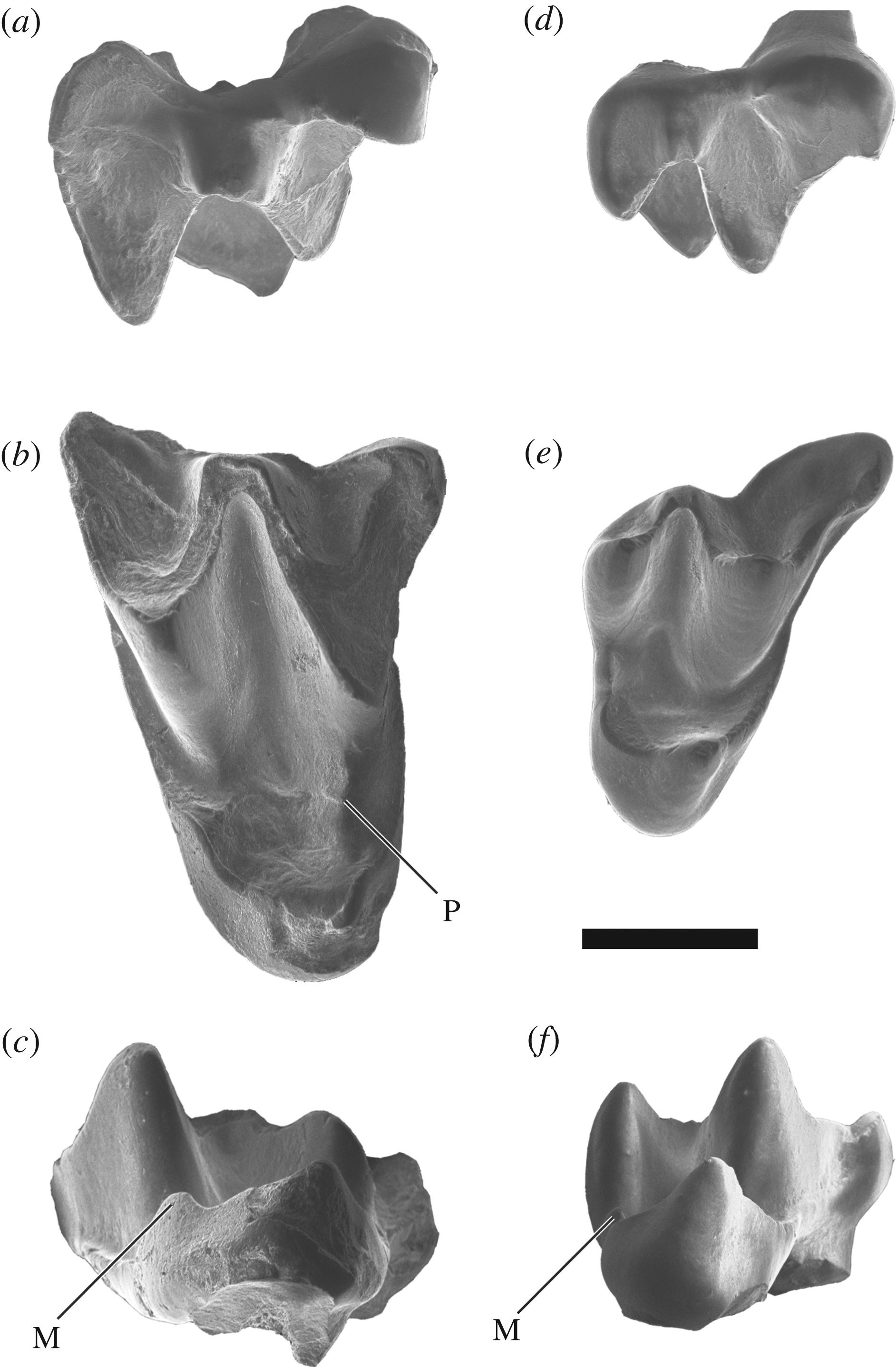 �й��½���׼������ط�����������ϵ�����ʯ