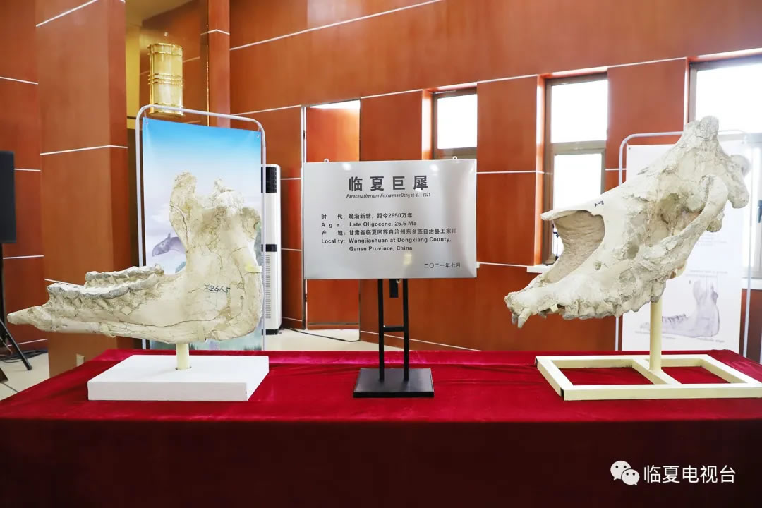 �����ľ�Ϭ����̽��֮��