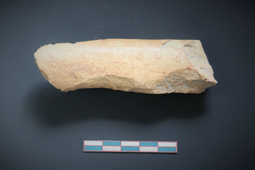 ��ͬ�����������ִ�������Դ��ַ