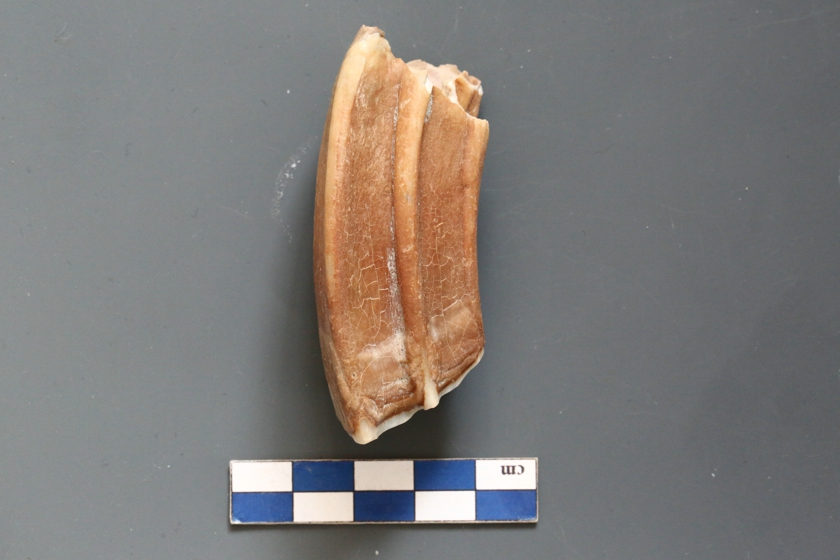 ��ͬ�����������ִ�������Դ��ַ