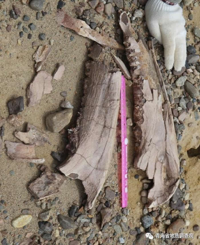 Ϭţ���ǻ�ʯ