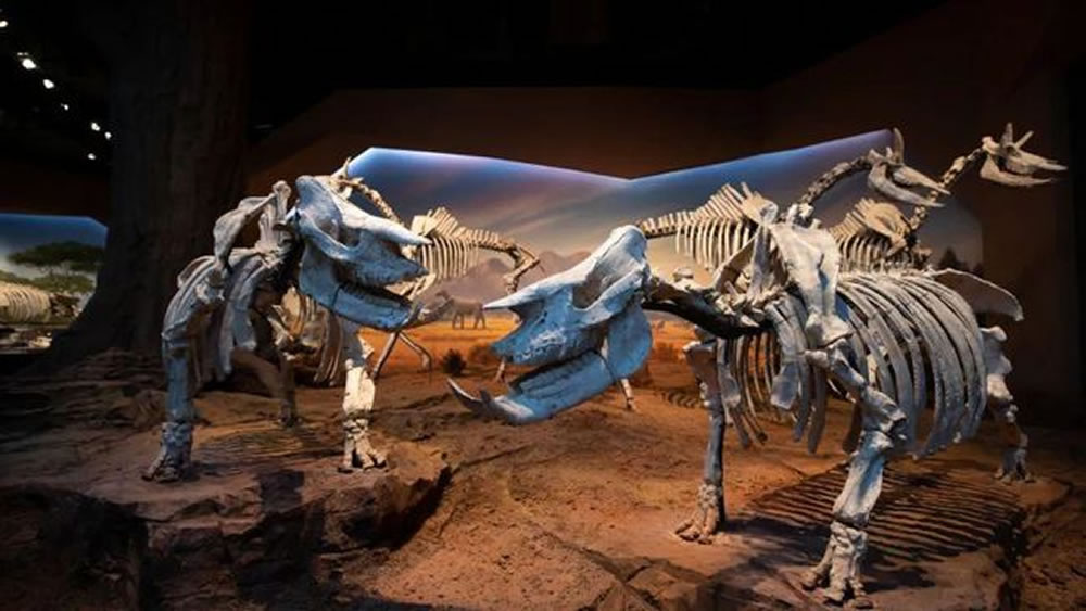 �㶫˳����Ȼ��ѧ�ݽ���8��1�������ڿ���