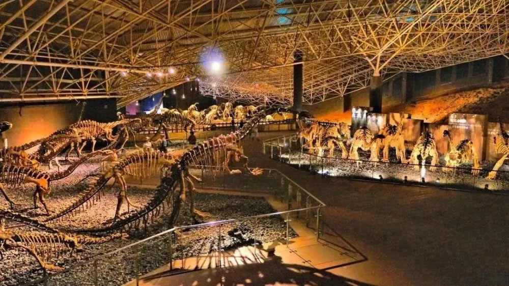 ����ʡ»����������������Ļ����缶IP